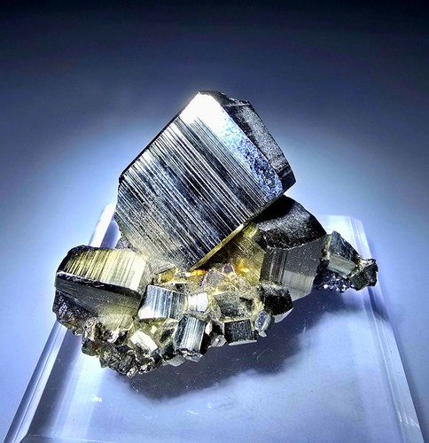 Superb sparkling golden - ***superb-sparkling,
